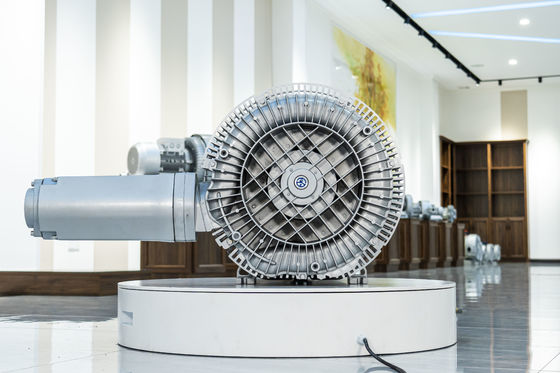 kwaliteit  High-Performance Aerator Blower for Aeration in Industrial Water Treatment Plants fabriek