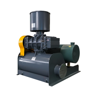 High Performance Roots Vacuum Pumps voor industriële automatisering 0,52-183,9m3/min Stroombereik