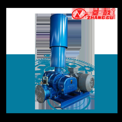 SSR Roots Vacuum Pump Roots Booster Vacuum Pump Voor Missiekritische Processen