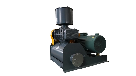 High Performance Roots Vacuum Pumps voor industriële automatisering 0,52-183,9m3/min Stroombereik