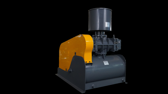 Intelligente wortelblazer vacuümpomp voor optimale prestaties en energiebesparing