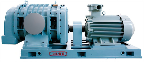 Roots Blower Pump van de serie L met grote doorstroming